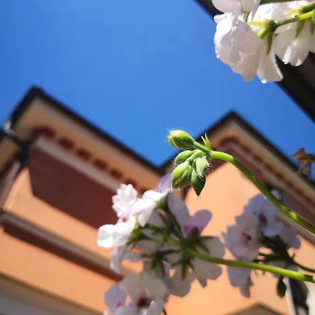 게스트하우스 Ayky 3*