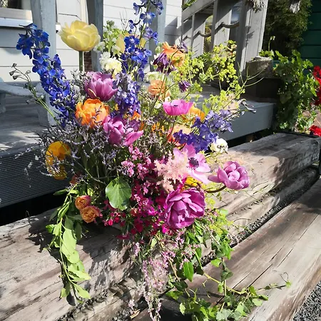 Ayky 3* 야블로네츠나트니소우